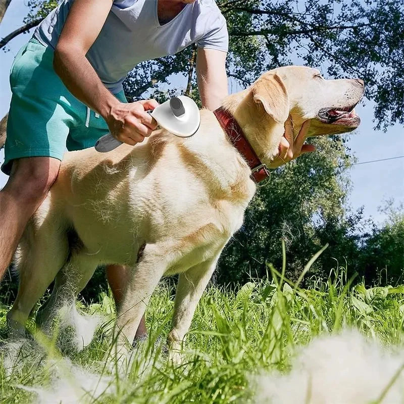 Self - Cleaning Pet Grooming Brush